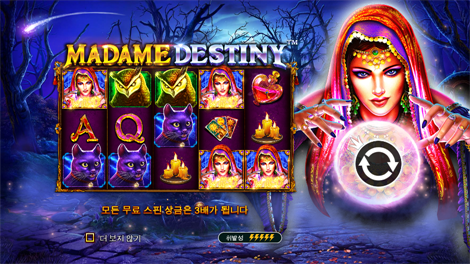 5 라이언즈 메가웨이즈