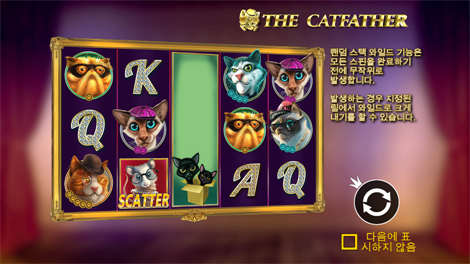 홀리데이 라이드